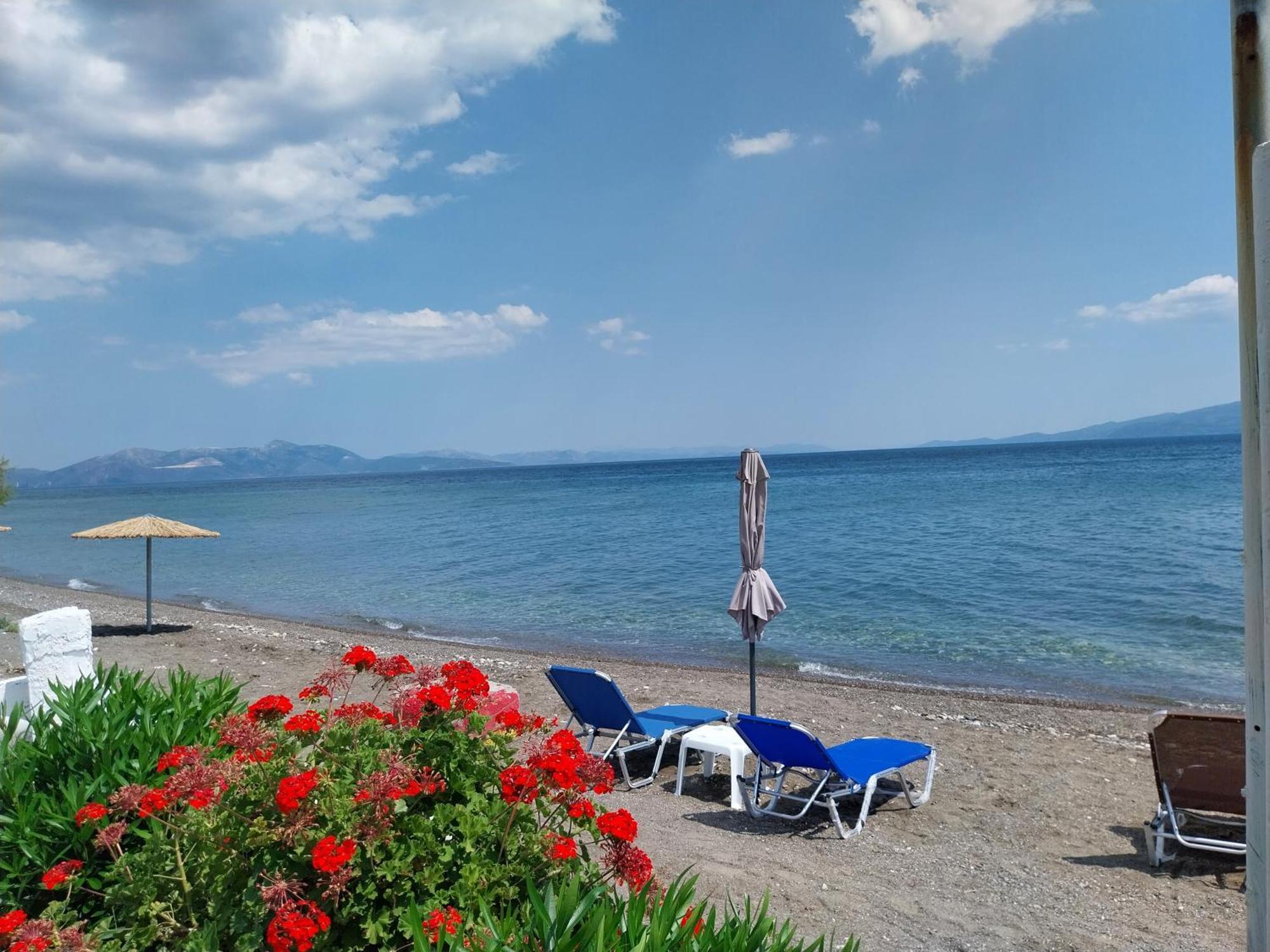 Flora'S Beach House Your House On The Beach Amarynthos Exterior foto